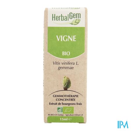 Herbalgem Vigne Macerat 15ml 2
