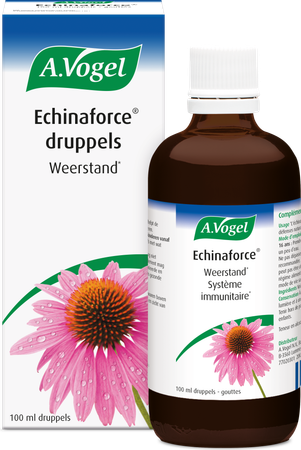 A.Vogel Echinaforce 100ml 2