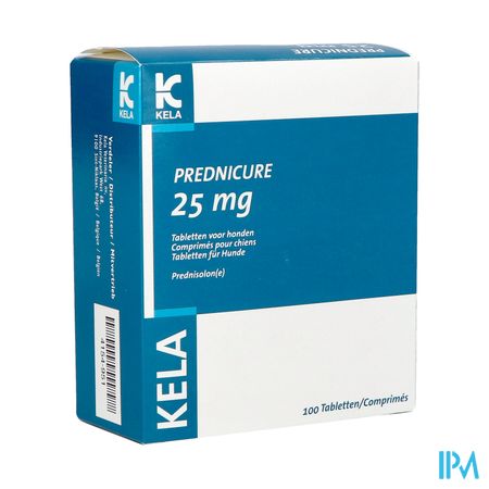 Prednicure 25mg Comp 100 1