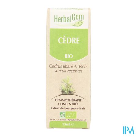 Herbalgem Libanonceder Maceraat 15ml 3