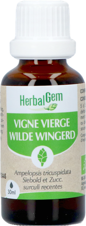 Herbalgem Vigne Vier Bio 30ml 1