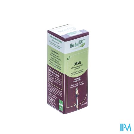 Herbalgem Olm Maceraat 50ml 3