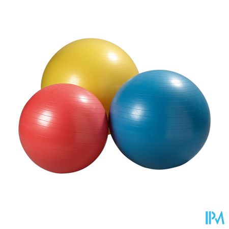 Jobri Exerswiss Therapy Bal 45cm 32300501