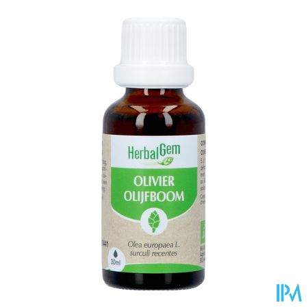 Herbalgem Olijfboom Bio 30ml 1