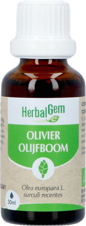 Herbalgem Olivier Bio 30ml 1