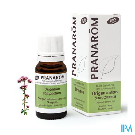 Origan Inflorescences Bio Hle Ess 10ml Pranarom 5