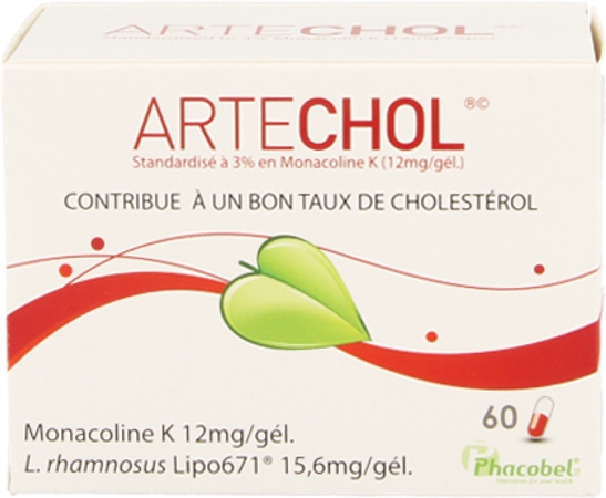 Artechol Gel 60 3