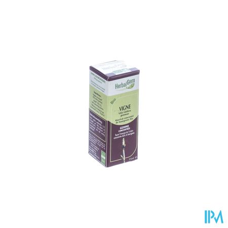 Herbalgem Vigne Macerat 15ml 1