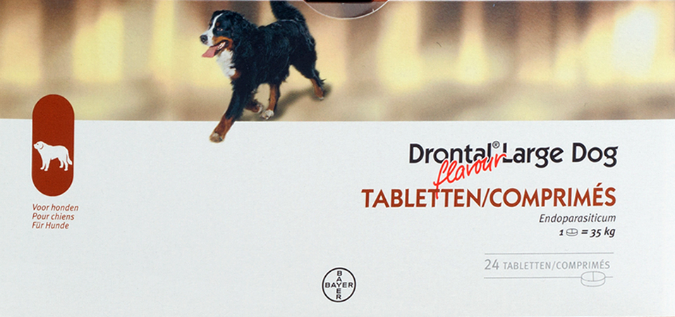 Drontal Large Dog Flavour Tabl 24
