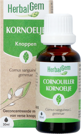 Herbalgem Kornoelje Bio 30ml 3