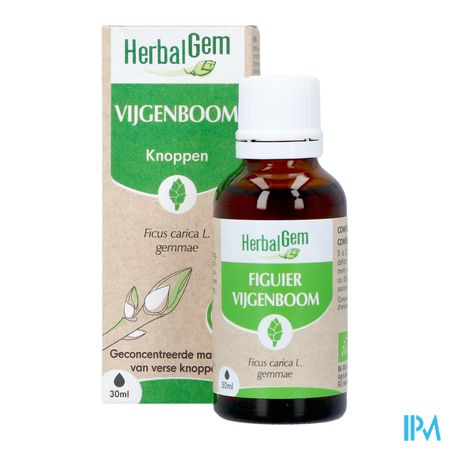 Herbalgem Vijgenboom Bio 30ml 3