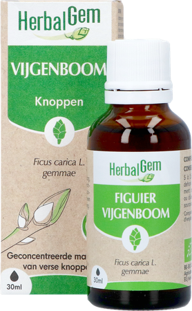 Herbalgem Vijgenboom Bio 30ml 3