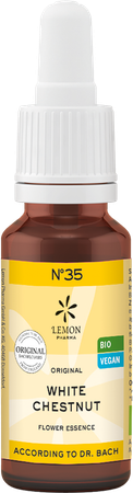 Bachbloesem Bio N°35 White Chestnut 20ml 2