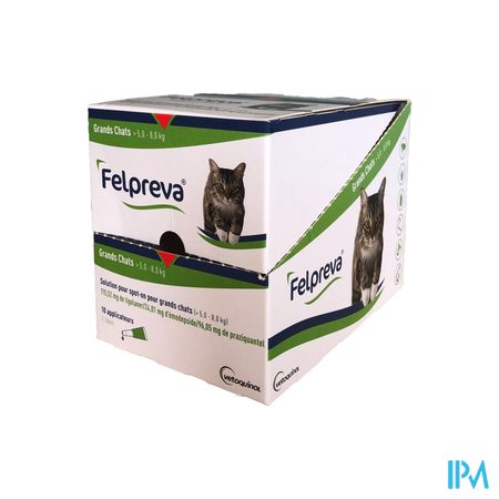 Felpreva Spot-on Solution Chat 5-8kg 10x1,18ml