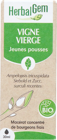 Herbalgem Vigne Vier Bio 30ml 3