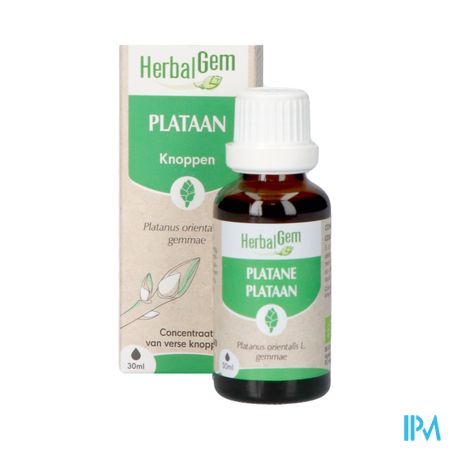 Herbalgem Plataan Bio 30ml 7