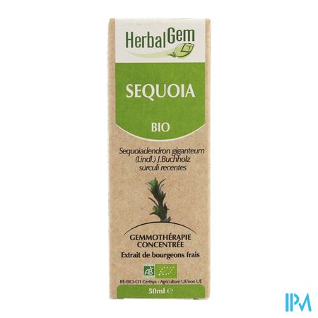 Herbalgem Sequoia Maceraat 50ml 4