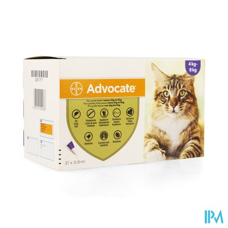 Advocate Spot On Opl Grote Kat >4- 8kg Pipet 21