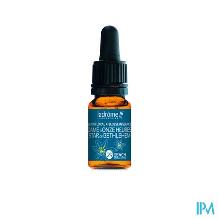 Ladrome Vogelmelk/star Bethlehem 10ml