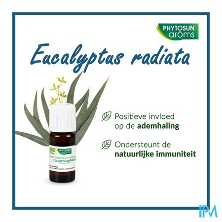 Phytosun Euc. Radiata Fr-bio-01 10ml 4