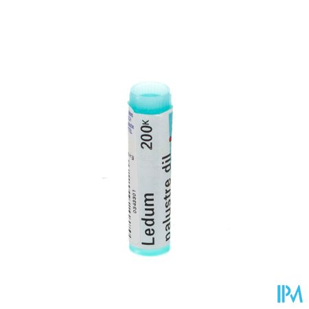 Ledum Palustre 200k Gl Boiron 1