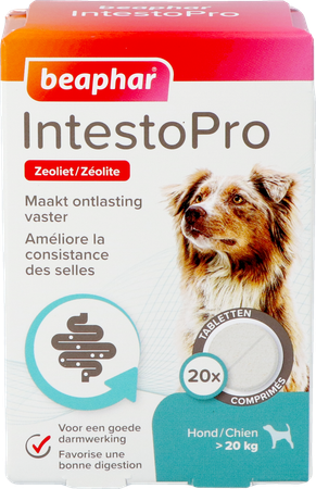 Beaphar Intesto Pro Chien M/l Comp 20 1