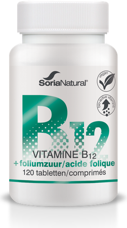 Soria Vitamine B12+acide Folique 250mg Comp 120 1