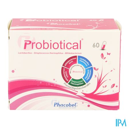 Probiotical Gel 60 3