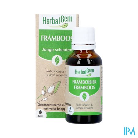 Herbalgem Frambozenstruik Bio 30ml 7