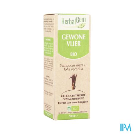 Herbalgem Vlierbes Maceraat 50ml