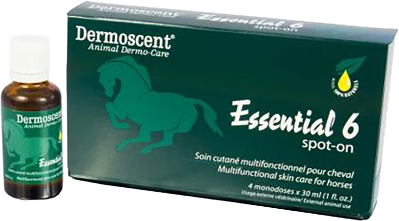 Dermoscent Essential 6 Spot-on Paard Pipet 4x30ml 3