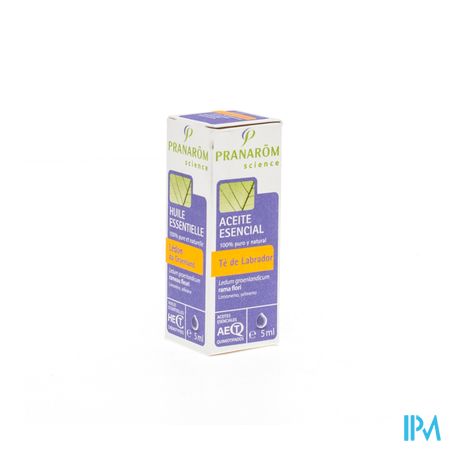 Ledon Groenland Ess Olie 5ml Pranarom 4