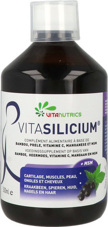 Vitasilicium Fl 500ml 2