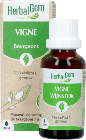 Herbalgem Wijnstok Maceraat Bio 30ml 5