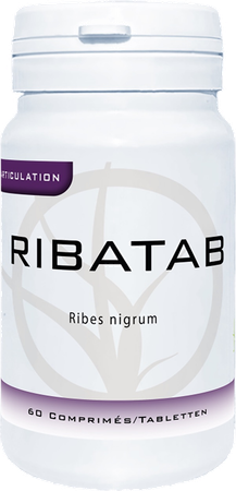 Ribatab Comp 60x300mg Dynar 1