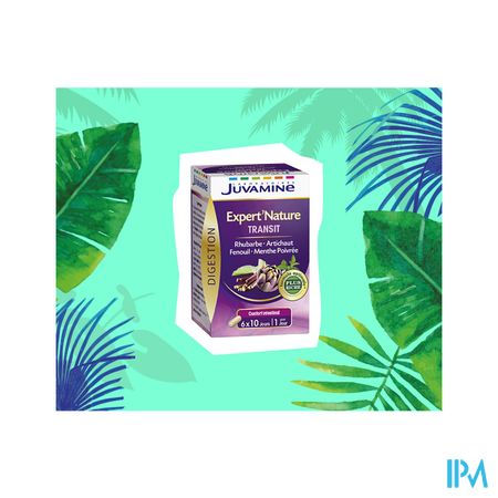 Juvamine Darmtransit Comp 60